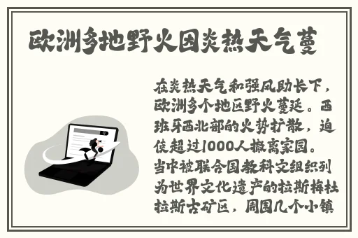 沉香一线产区情侣